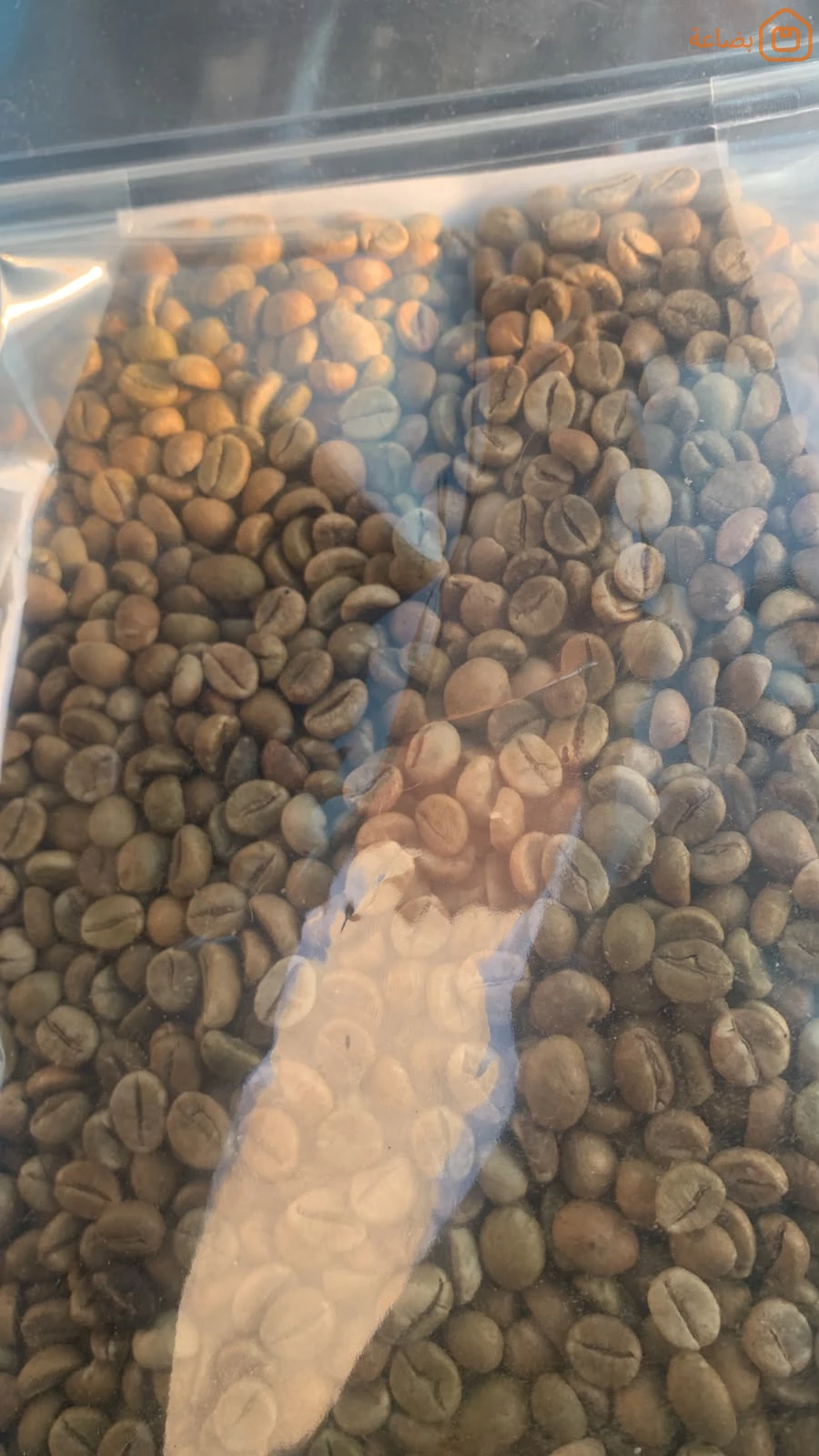 صورة المنتج